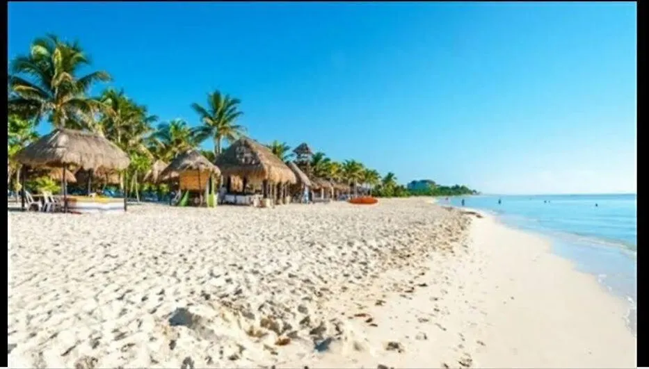 Fabulous Studio In Playa Del Carmen Very Central 아파트